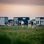 Humble Homes Tinyhouse
